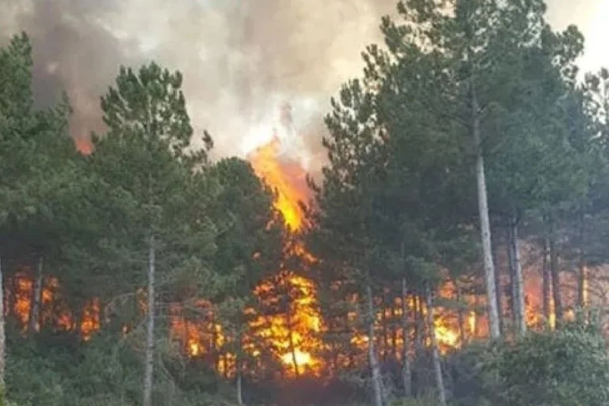 Sancaktepe’de orman yangını: Ekipler alevlere müdahale ediyor